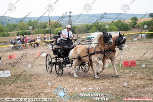 Mintakép 20260808-295