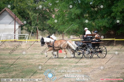 Mintakép 20260808-298
