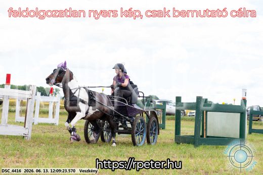 Mintakép 20260613-1594
