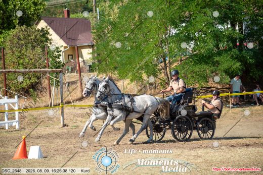 Mintakép 20260809-842