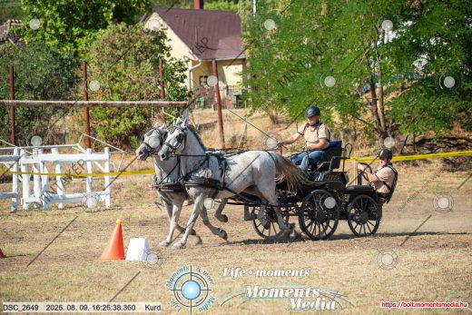 Mintakép 20260809-843