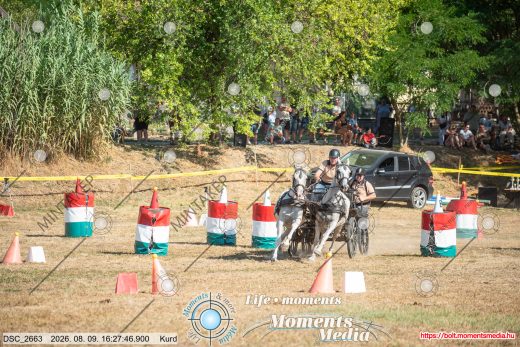 Mintakép 20260809-850