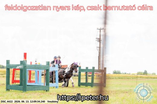 Mintakép 20260613-1597