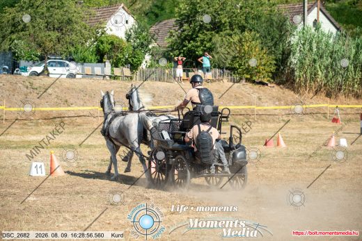 Mintakép 20260809-863