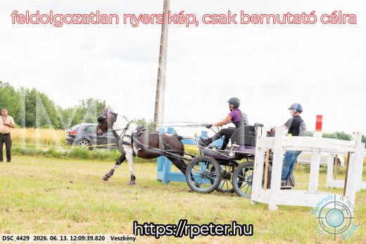 Mintakép 20260613-1600