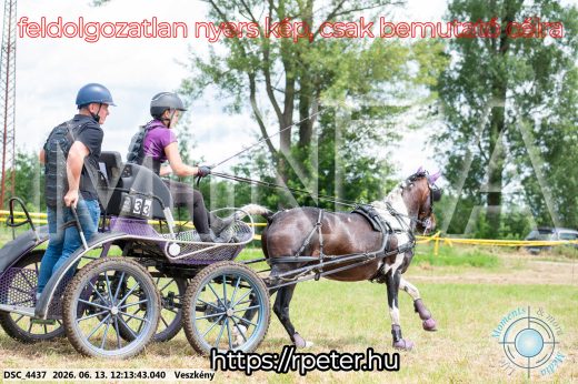 Mintakép 20260613-1604