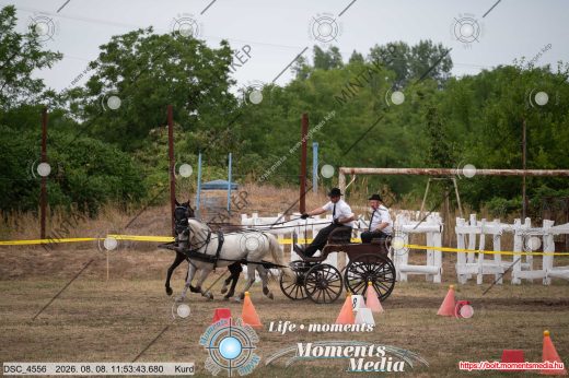 Mintakép 20260808-329