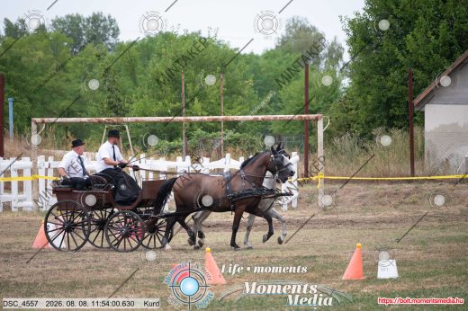 Mintakép 20260808-330