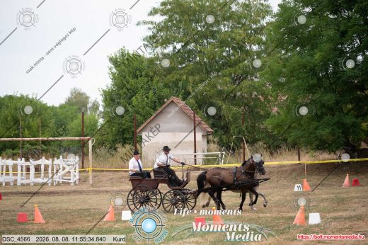 Mintakép 20260808-335