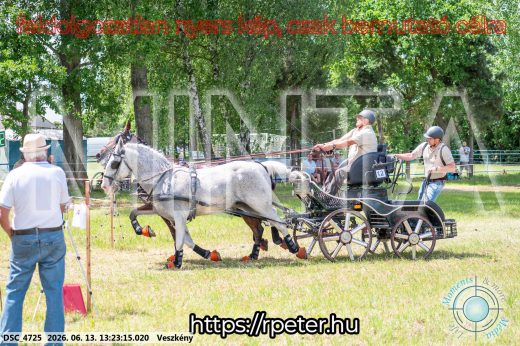 Mintakép 20260613-136