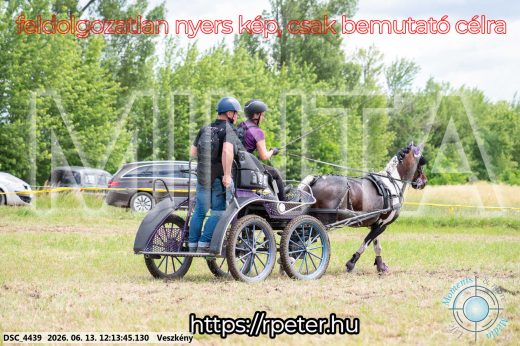 Mintakép 20260613-1606
