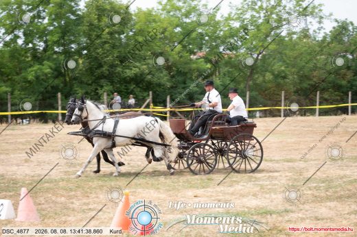 Mintakép 20260808-346