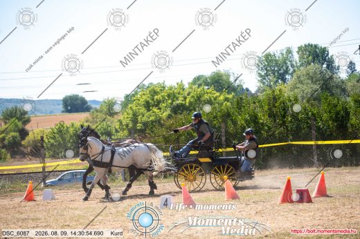 Mintakép 20260809-921