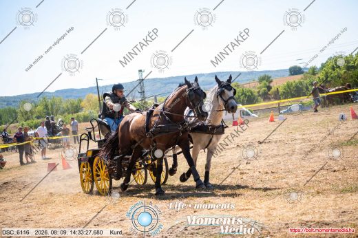 Mintakép 20260809-946