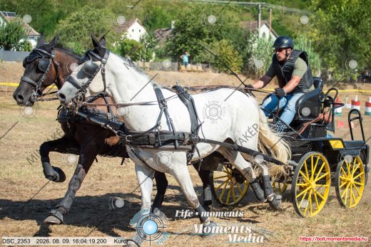 Mintakép 20260809-967