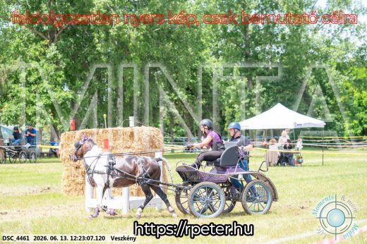 Mintakép 20260613-1614