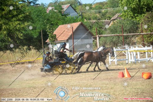 Mintakép 20260809-969