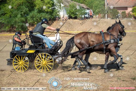 Mintakép 20260809-979