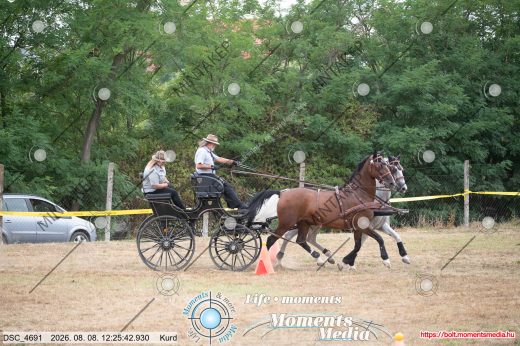 Mintakép 20260808-374