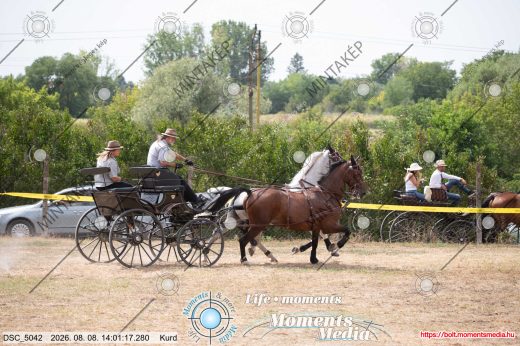 Mintakép 20260808-390
