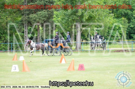 Mintakép 20260614-772