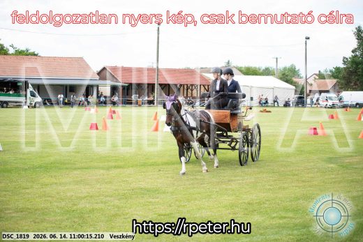 Mintakép 20260614-775