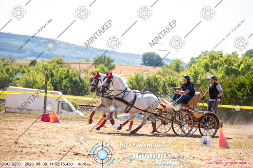 Mintakép 20260809-1031