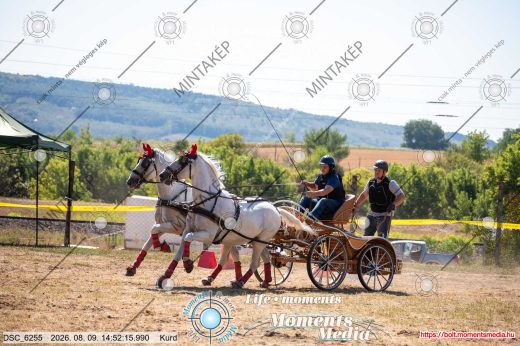 Mintakép 20260809-1033