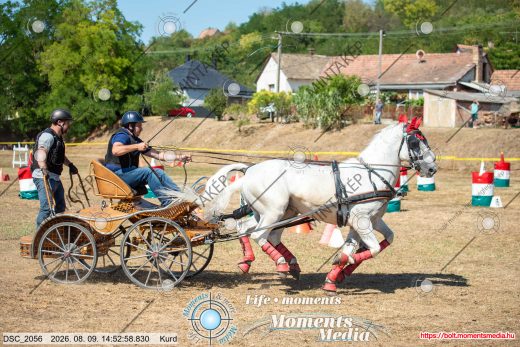 Mintakép 20260809-1044