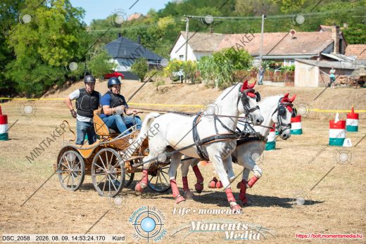 Mintakép 20260809-1046