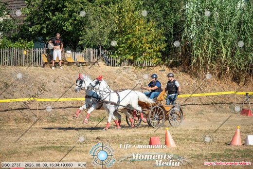 Mintakép 20260809-1052