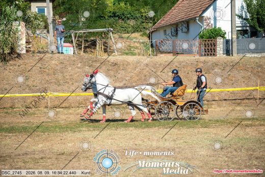 Mintakép 20260809-1060