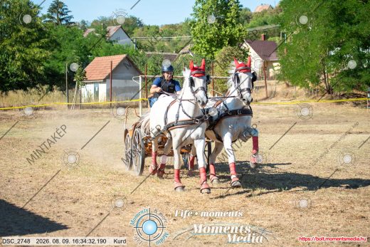 Mintakép 20260809-1063