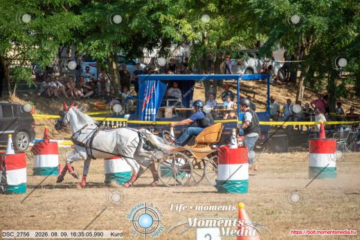 Mintakép 20260809-1069