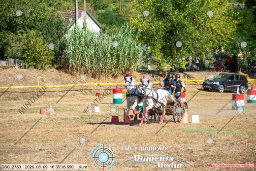 Mintakép 20260809-1074