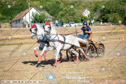 Mintakép 20260809-1076
