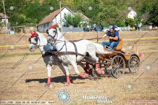 Mintakép 20260809-1077
