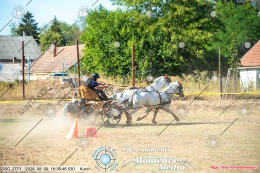 Mintakép 20260809-1082