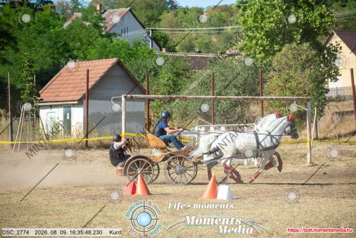 Mintakép 20260809-1085