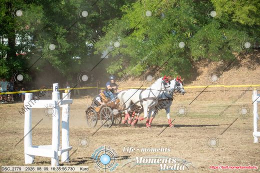 Mintakép 20260809-1088