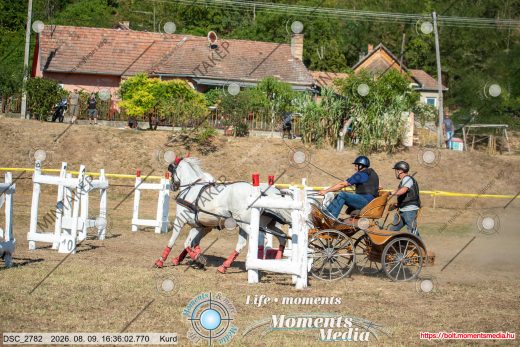 Mintakép 20260809-1090