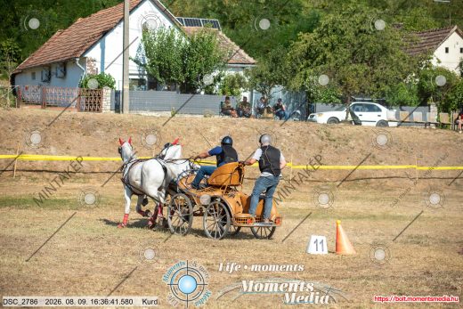 Mintakép 20260809-1094