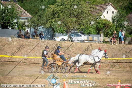 Mintakép 20260809-1095