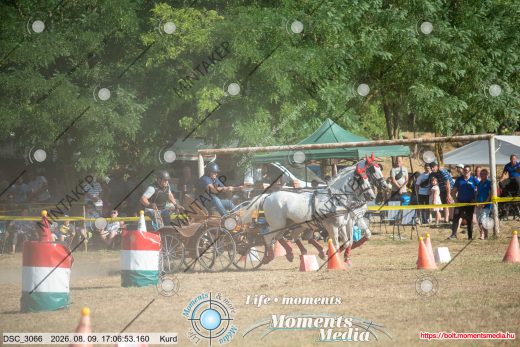 Mintakép 20260809-1126