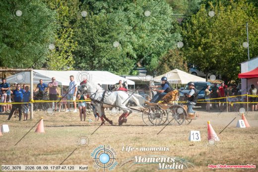 Mintakép 20260809-1134
