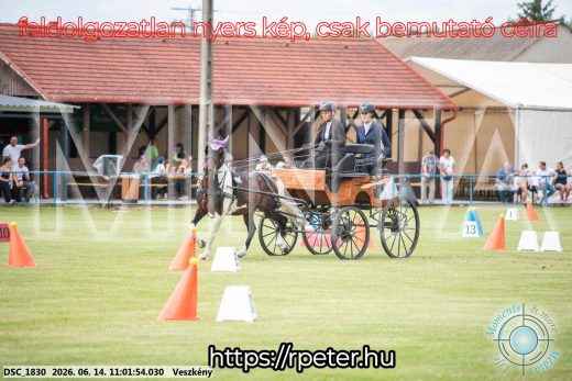 Mintakép 20260614-787