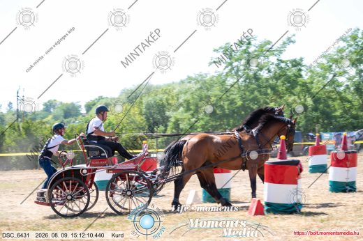 Mintakép 20260809-1161