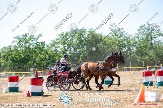 Mintakép 20260809-1166