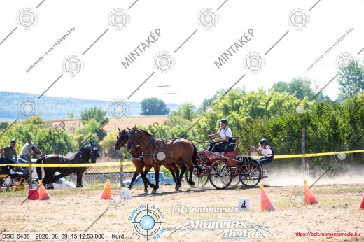 Mintakép 20260809-1169