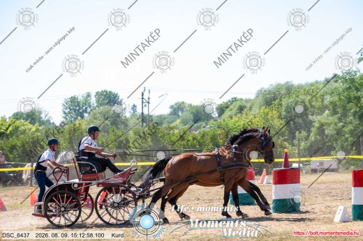 Mintakép 20260809-1170